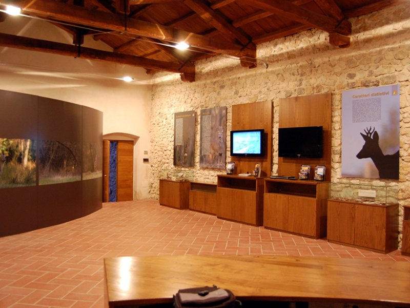 Centro Visita del Capriolo, interno