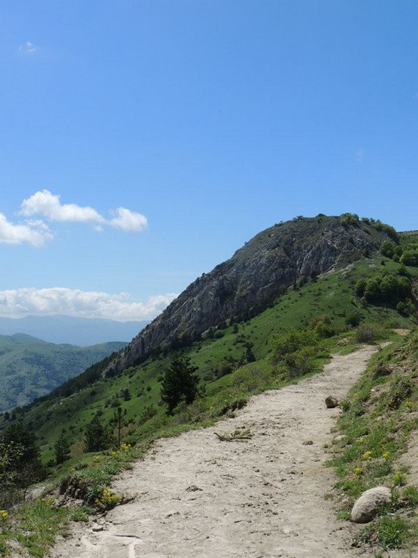 Sentiero n. 11, sullo sfondo Monte Faito