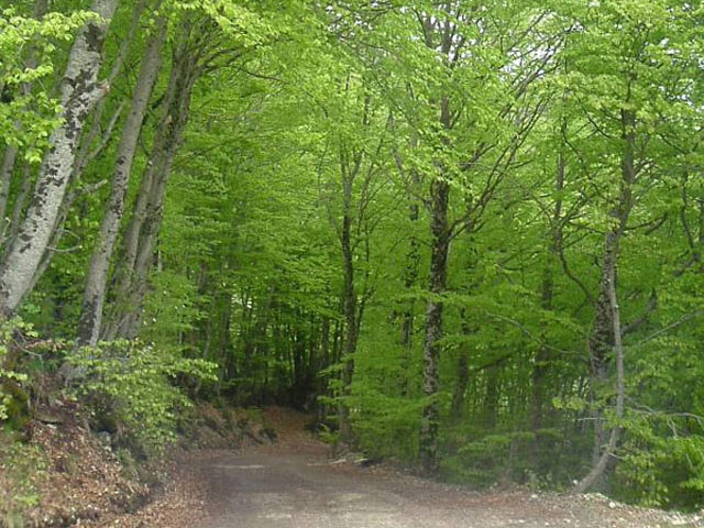 Road towards Piani di Pezza