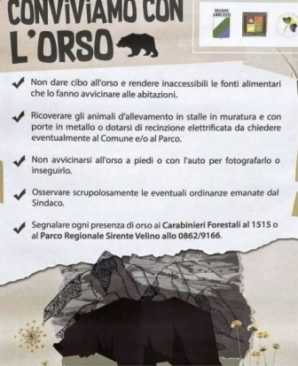 Orso avvistato nel Parco Sirente Velino, D’Amore: “Non avviciniamo gli animali, usiamo prudenza”
